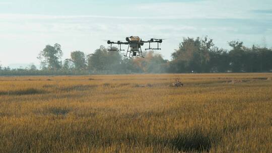 无人机在田地里飞行喷洒农药施肥