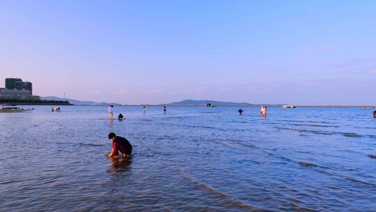 威海海边赶海挖蛤蜊的人群
