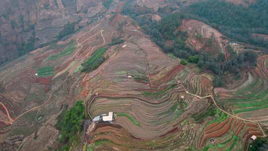 梯田风光俯瞰全景