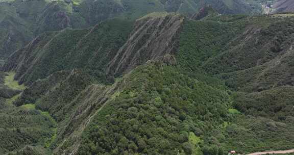 森林 青山绿水 天然氧吧