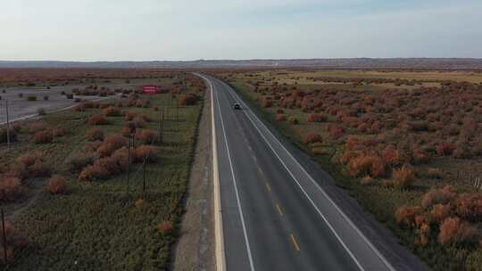 红柳，道路，航拍