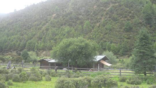 香格里拉牧场农场风光风景