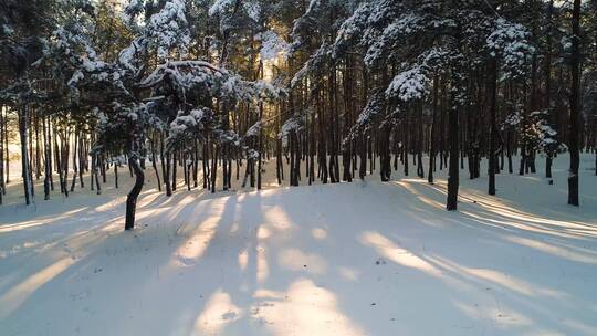 4K冬日冬季滑雪雪景雪山树林森林云彩白云