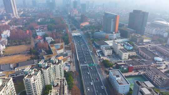 上海杨浦区邯郸路航拍车流马路道路大柏树立