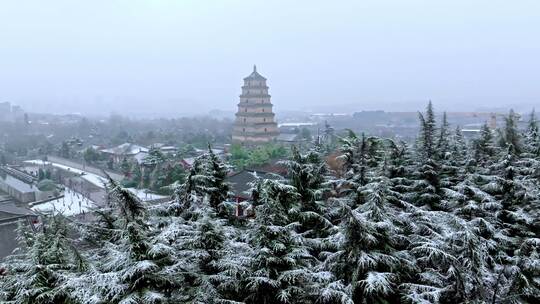 西安大雁塔雪景