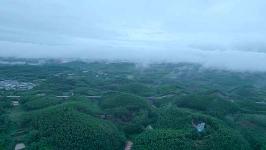 乡村丘陵连绵群山绿色森林云雾缭绕航拍风光