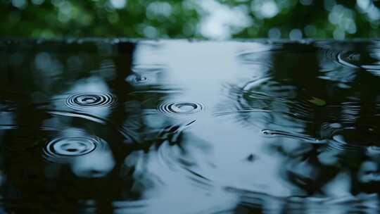 合集-下雨天静谧森林 解压氛围解压视频