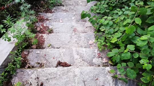 4k 爬山 台阶 阶梯 石阶 户外出行