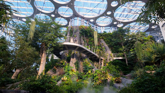 上海温室花园绿植景观合辑