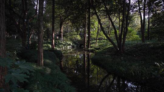 杭州西湖景区杭州花圃