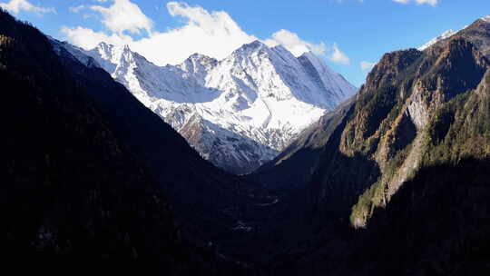 雪山 彩林 航拍