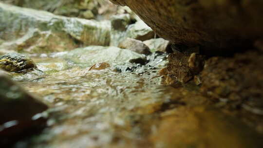 清澈山泉小溪矿泉水山涧