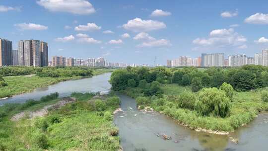 城市河流生态绿化1