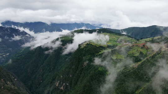 云南松茸航拍空镜群山盘山公路云雾