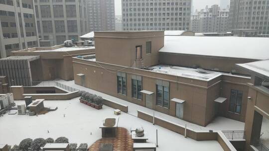 郑州雪景 雪天 打雪仗 雪天实景