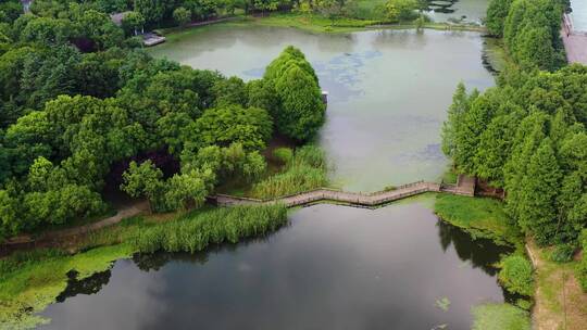 无锡十八湾湿地视频素材模板下载