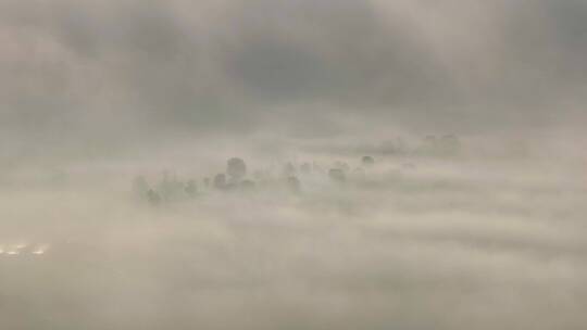 航拍云雾中的茶山茶园