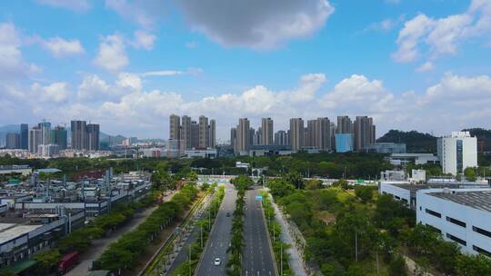 深圳坪山中心城 (4)