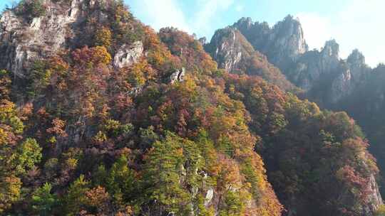 南阳老界岭秋景风光