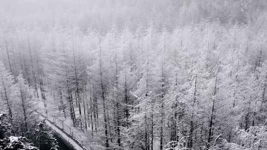 秦岭分水岭冬季雾凇雪景航拍