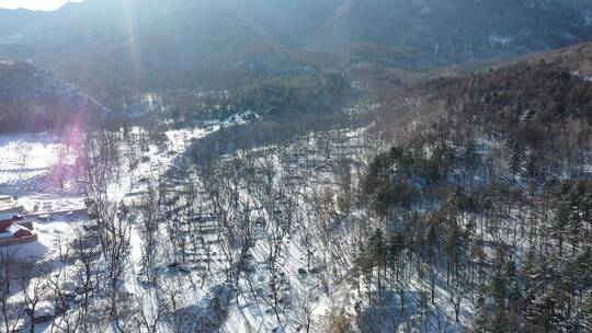 （航拍）森林雪景