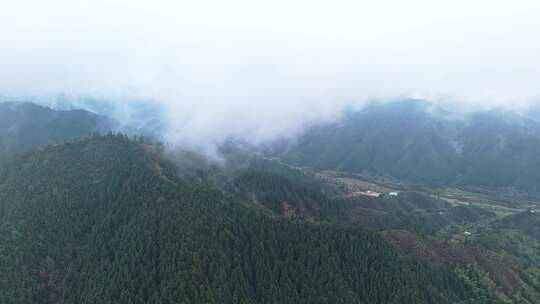 云雾缭绕的茂密山林鸟瞰全景