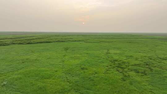 大草原风光航拍鄱阳湖湿地公园风光生态环境