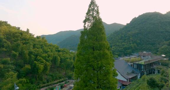 湖州莫干山度假村航拍2