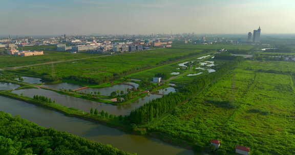 化工区绿地 湖泊 航拍