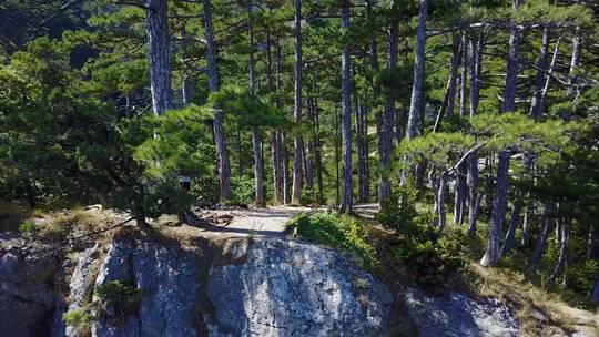 航拍森林深处山峰悬崖自然风景旅游驴友爬山