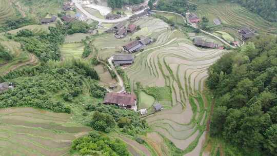 航拍农业种植大山梯田