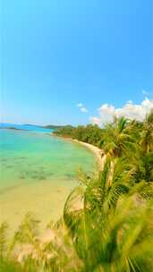 天堂岛上椰子树阳光海滩的动态镜头