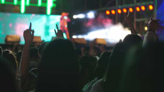 成都音乐节现场夜晚观众人群挥手舞动视频素材模板下载