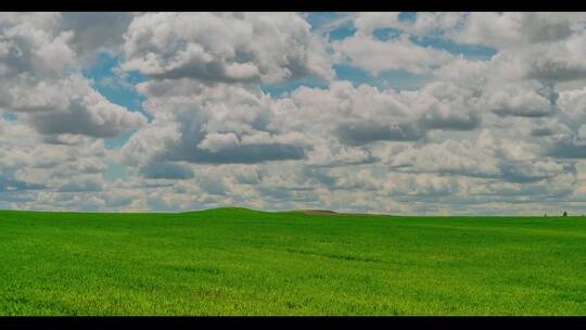 极品唯美的大草原多云天气云层延时风景