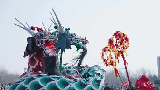 舞龙 舞龙表演 舞龙民俗表演