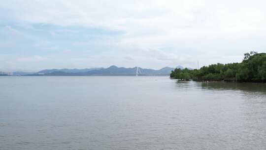 深圳湾海面航拍