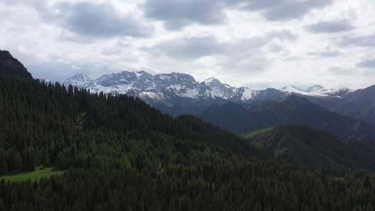 4k航拍 新疆江布拉克 雪山草原山林风光