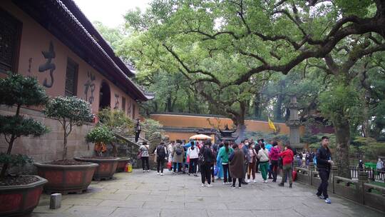 浙江普陀山法雨寺禅院建筑4K视频