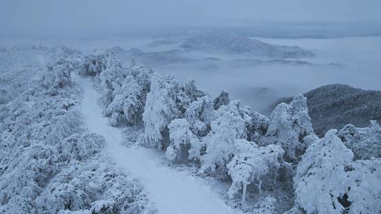 杭州临安大明山牵牛岗森林雪景云海航拍