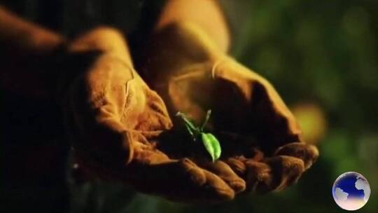 生命生长环保绿色公益宣传片视频素材