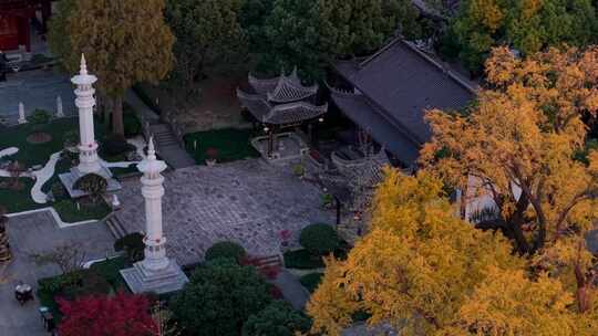 浙江嘉兴梅花洲石佛寺千年银杏航拍