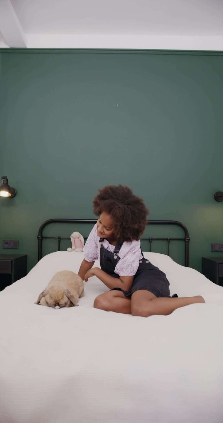 女孩在床上抚摸毛茸茸的兔子