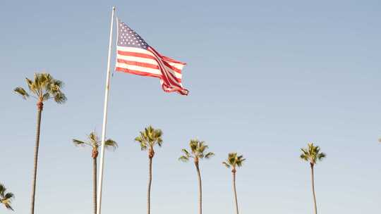 美国加州洛杉矶棕榈和美国国旗视频素材模板下载