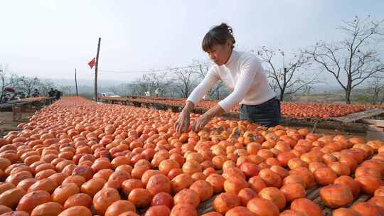 农村农民柿子柿饼制作加工晾晒