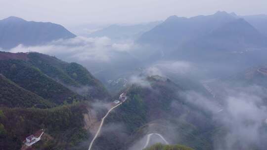 镇安海棠山