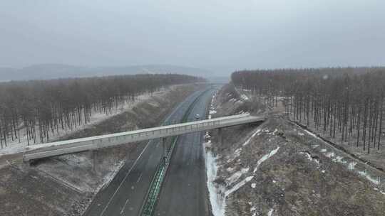 初春风雪大兴安岭林区道路上行驶的汽车