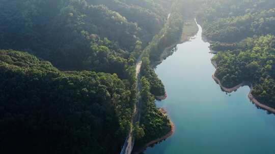 中山最美公路