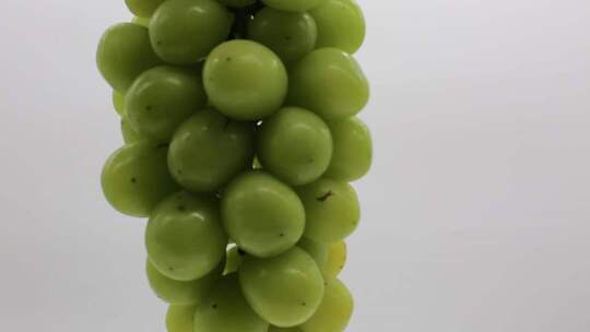 绿葡萄特写