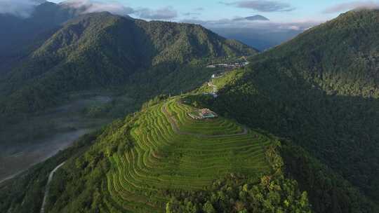 西藏墨脱县背崩乡格林村高山茶园风光航拍