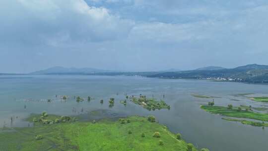 洛阳嵩县陆浑水库湿地生态